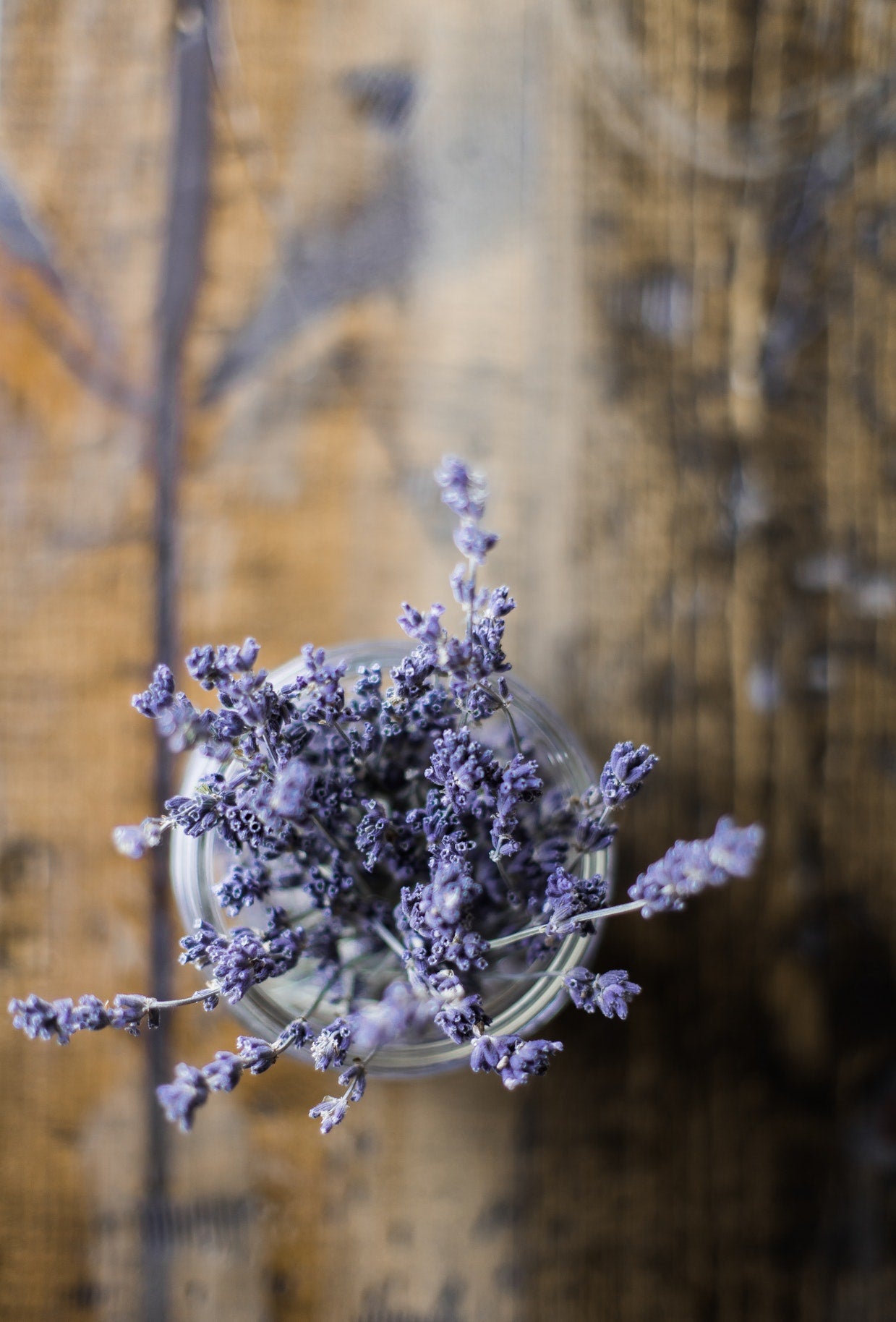 Lavender: 4 Benefits for Your Skin