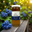 Blueberry Blossom Honey