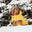Arctic Parka - Yellow by GF Pet