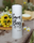Save the Bees 20oz Tumbler + Straw